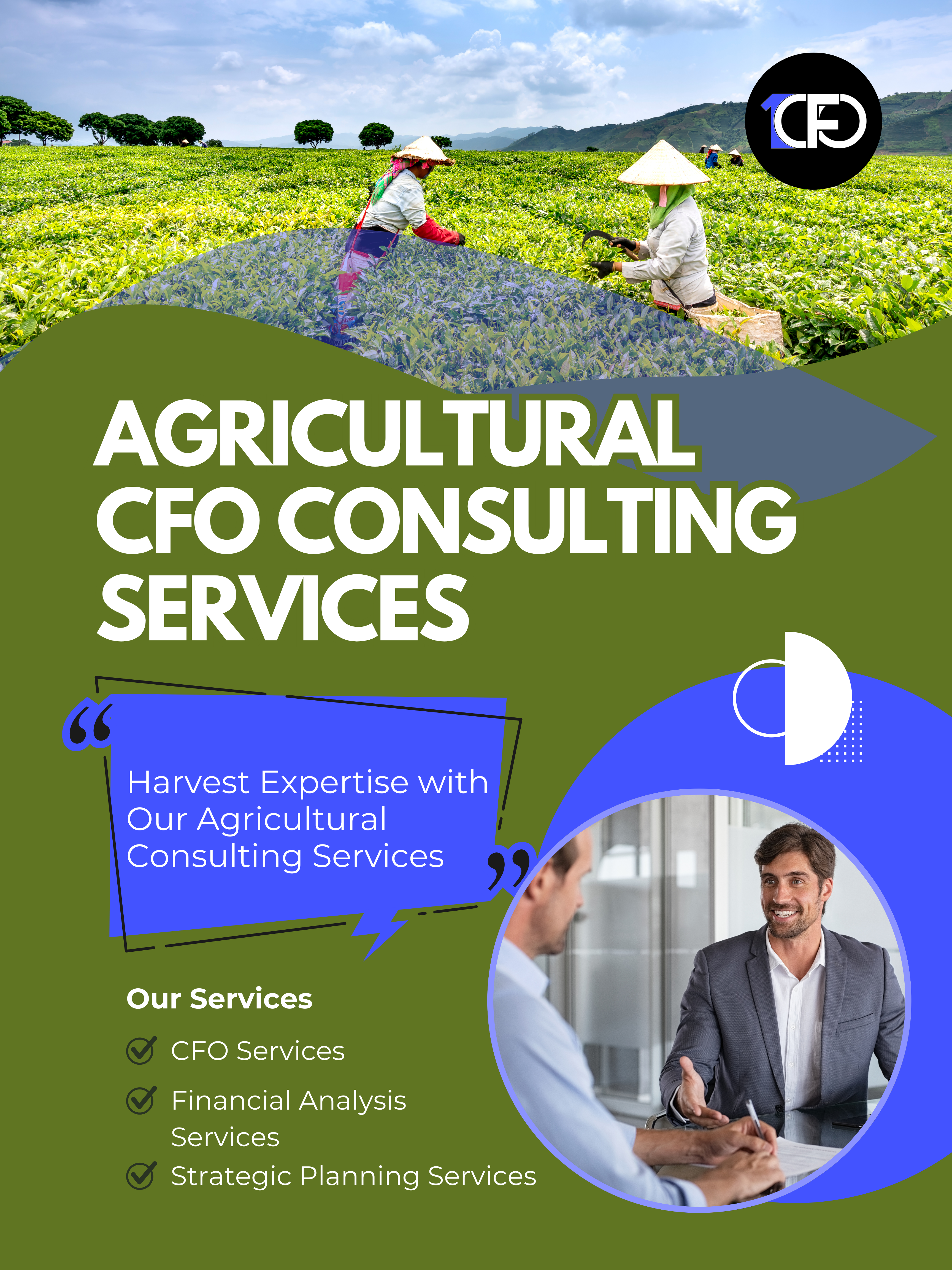 CFO Consulting Services for Agriculture 2 CFO Consulting Services for Agriculture